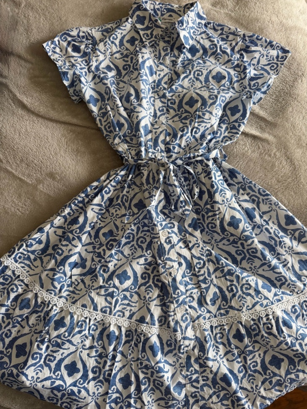 Blue and White Button-Front Printed Shirt Dress